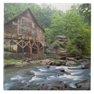 USA, West Virginia, Babcock SP. Rustic Glade Ceramic Tile