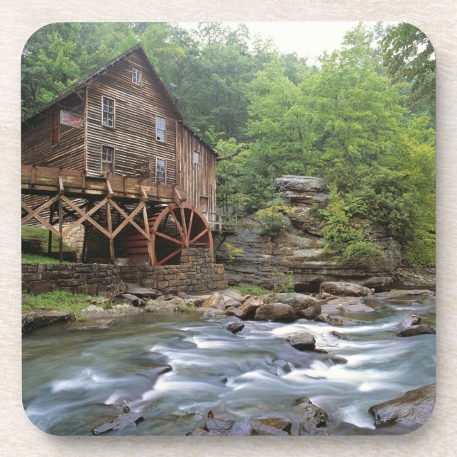 USA, West Virginia, Babcock SP. Rustic Glade Coaster (Front)