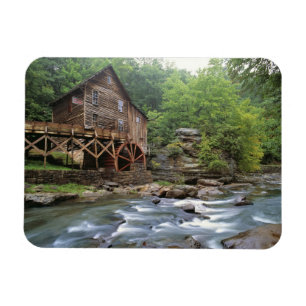 USA, West Virginia, Babcock SP. Rustic Glade Magnet