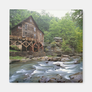 USA, West Virginia, Babcock SP. Rustic Glade Magnet