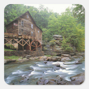 USA, West Virginia, Babcock SP. Rustic Glade Square Sticker