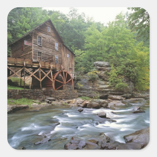 USA, West Virginia, Babcock SP. Rustic Glade Square Sticker (Front)