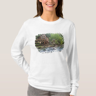 USA, West Virginia, Babcock SP. Rustic Glade T-Shirt