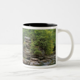 USA, West Virginia, Babcock SP. Rustic Glade Two-Tone Coffee Mug