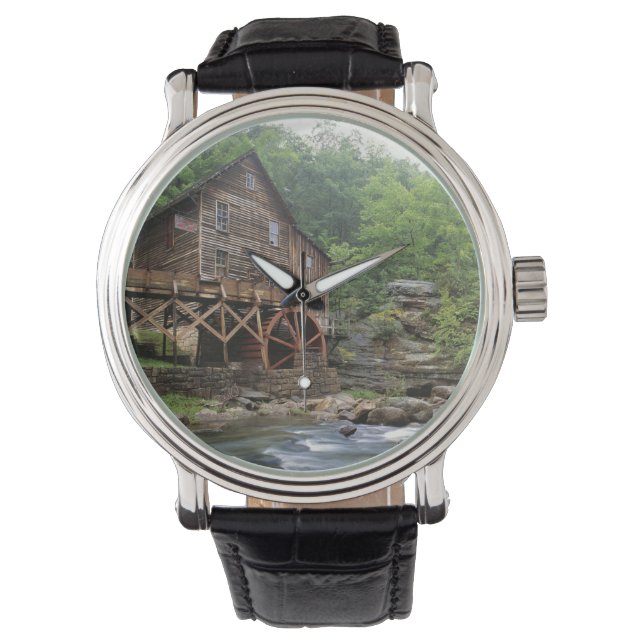 USA, West Virginia, Babcock SP. Rustic Glade Watch (Front)