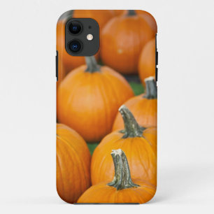 USA, West Virginia, Charleston. Capitol 2 iPhone 11 Case