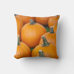 USA, West Virginia, Charleston. Capitol 2 Cushion