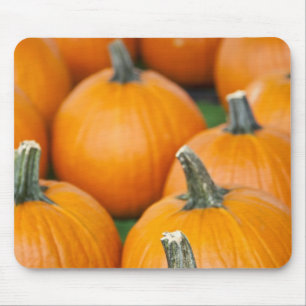 USA, West Virginia, Charleston. Capitol 2 Mouse Pad