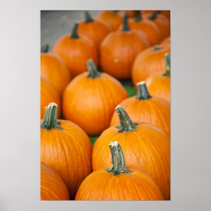 USA, West Virginia, Charleston. Capitol 2 Poster