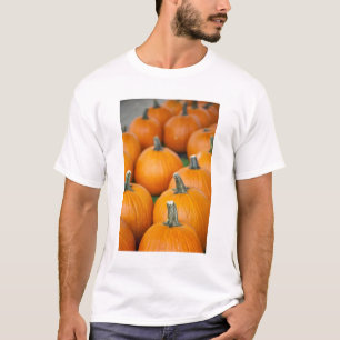 USA, West Virginia, Charleston. Capitol 2 T-Shirt