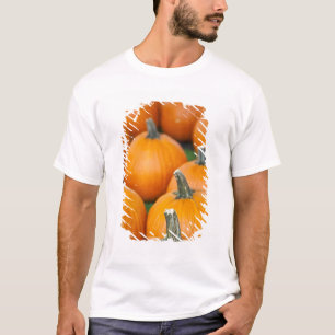 USA, West Virginia, Charleston. Capitol 2 T-Shirt