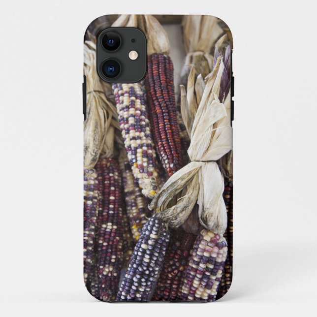 USA, West Virginia, Charleston. Capitol Case-Mate iPhone Case (Back)