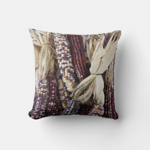 USA, West Virginia, Charleston. Capitol Cushion