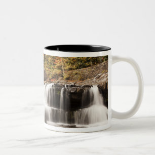 USA, West Virginia, Clifftop. Babcock State Two-Tone Coffee Mug