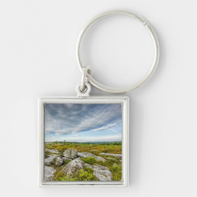 USA, West Virginia, Davis. Landscape In Dolly Key Ring (Front)