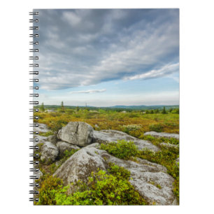 USA, West Virginia, Davis. Landscape In Dolly Notebook
