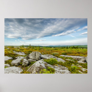 USA, West Virginia, Davis. Landscape In Dolly Poster