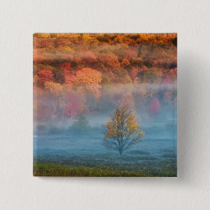 USA, West Virginia, Davis. Misty valley and 15 Cm Square Badge
