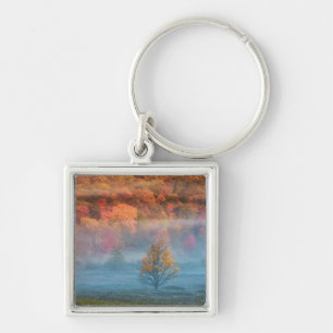 USA, West Virginia, Davis. Misty valley and Key Ring