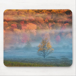USA, West Virginia, Davis. Misty valley and Mouse Pad