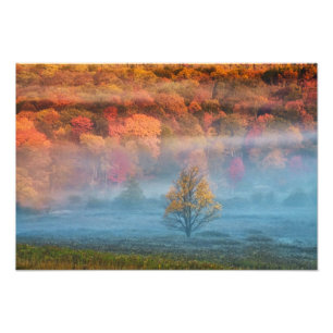 USA, West Virginia, Davis. Misty valley and Photo Print