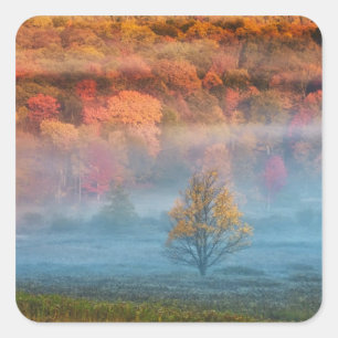 USA, West Virginia, Davis. Misty valley and Square Sticker