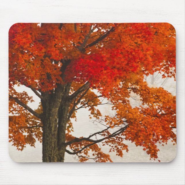 USA, West Virginia, Davis. Red maple in autumn Mouse Pad (Front)
