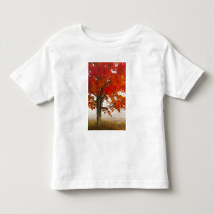 USA, West Virginia, Davis. Red maple in autumn Toddler T-Shirt