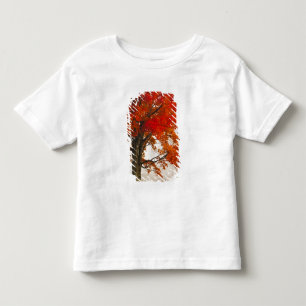 USA, West Virginia, Davis. Red maple in autumn Toddler T-Shirt