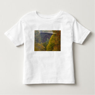 USA, West Virginia, Fayetteville. New River Toddler T-Shirt