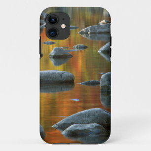 USA, West Virginia, Spruce Knob-Seneca Rocks 3 iPhone 11 Case