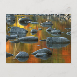 USA, West Virginia, Spruce Knob-Seneca Rocks 3 Postcard