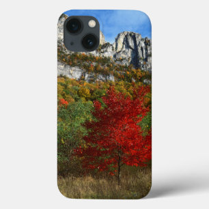 USA, West Virginia, Spruce Knob-Seneca Rocks iPhone 13 Case