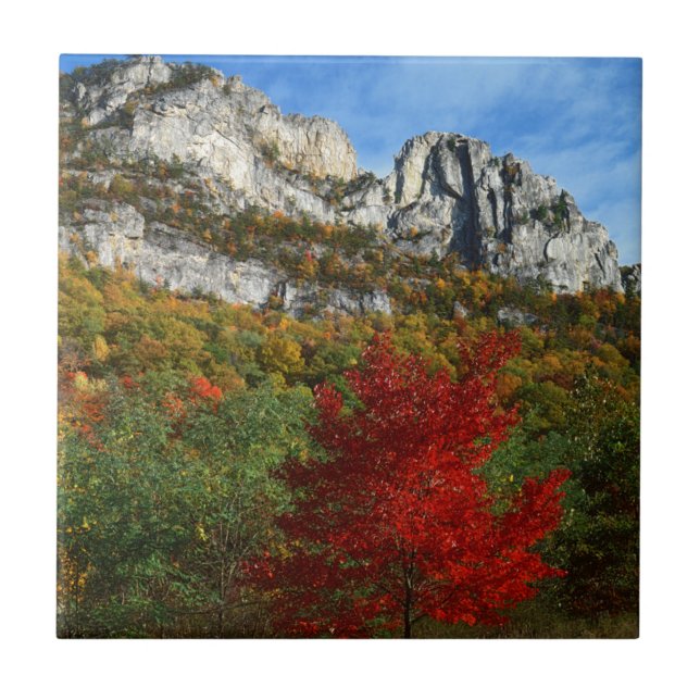 USA, West Virginia, Spruce Knob-Seneca Rocks Ceramic Tile (Front)