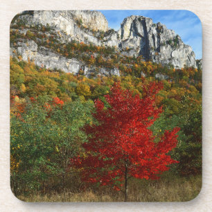 USA, West Virginia, Spruce Knob-Seneca Rocks Coaster
