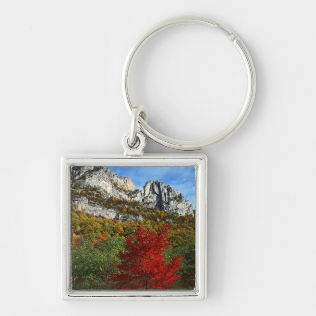USA, West Virginia, Spruce Knob-Seneca Rocks Key Ring (Front)