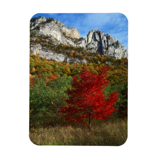 USA, West Virginia, Spruce Knob-Seneca Rocks Magnet (Vertical)