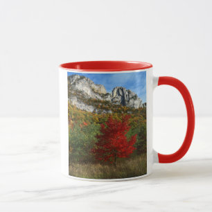 USA, West Virginia, Spruce Knob-Seneca Rocks Mug
