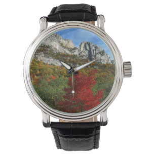 USA, West Virginia, Spruce Knob-Seneca Rocks Watch