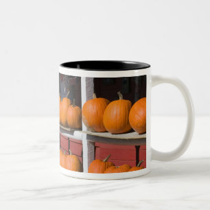 USA, WISCONSIN, Washburn: Lake Superior Shore, Two-Tone Coffee Mug
