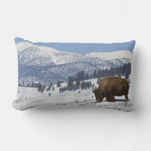 USA, WY, Yellowstone NP, American Bison Bison Lumbar Cushion