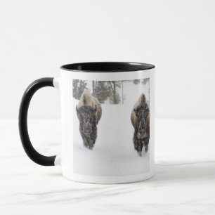 USA, WY, Yellowstone NP, American Bison (Bison Mug