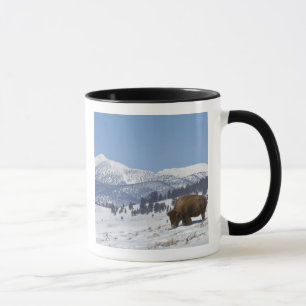 USA, WY, Yellowstone NP, American Bison Bison Mug