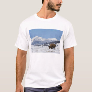 USA, WY, Yellowstone NP, American Bison Bison T-Shirt