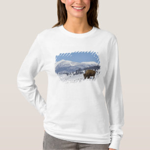 USA, WY, Yellowstone NP, American Bison Bison T-Shirt
