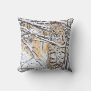 USA, Wyoming, Bobcat Cushion