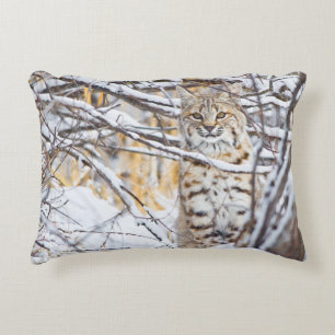 USA, Wyoming, Bobcat Decorative Cushion