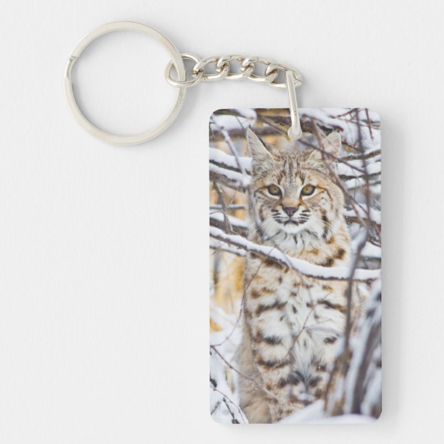 USA, Wyoming, Bobcat Key Ring (Front)