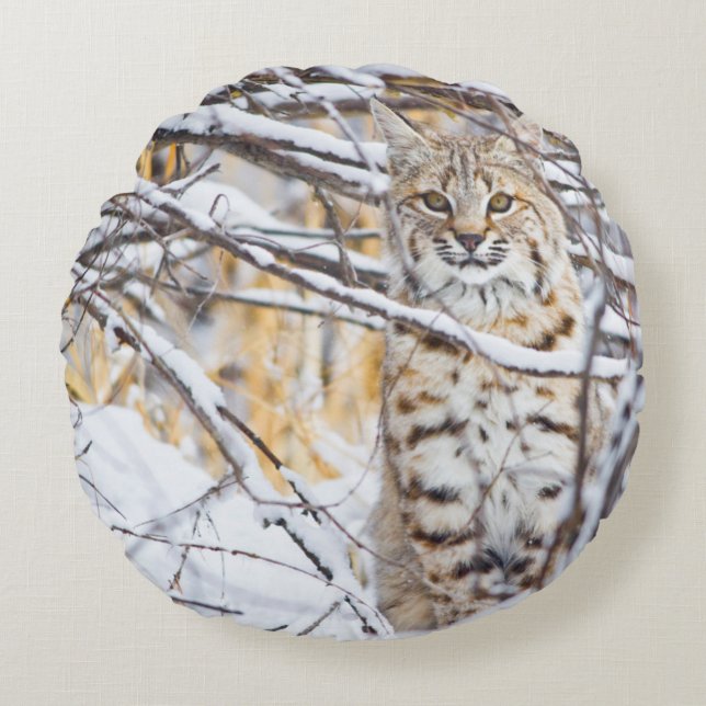 USA, Wyoming, Bobcat Round Cushion (Front)