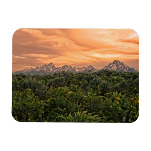 USA, Wyoming, Grand Teton National Park 1 Magnet